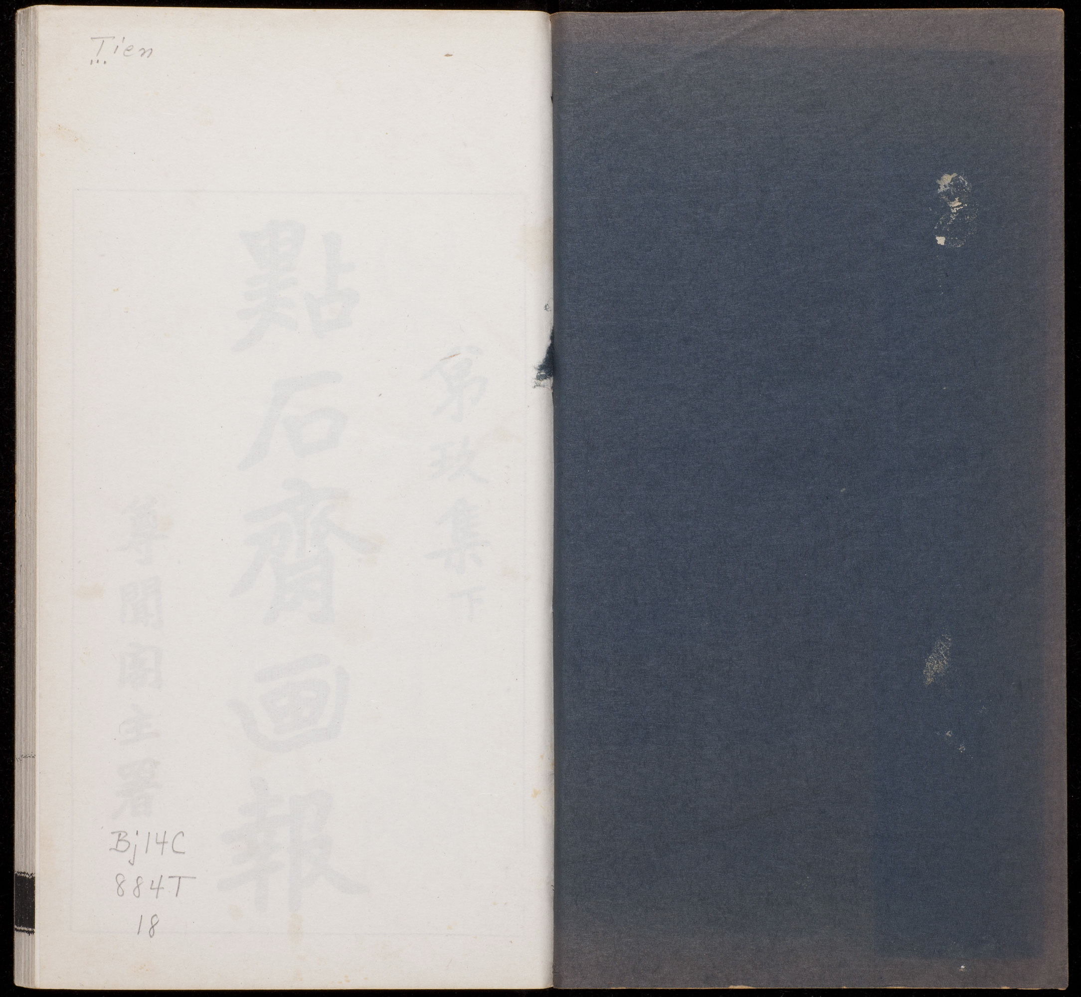 My Image 63